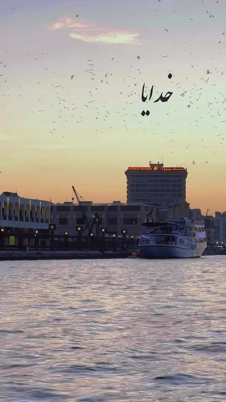 Post 8 by Reza Mohammadi on Instagram (video)