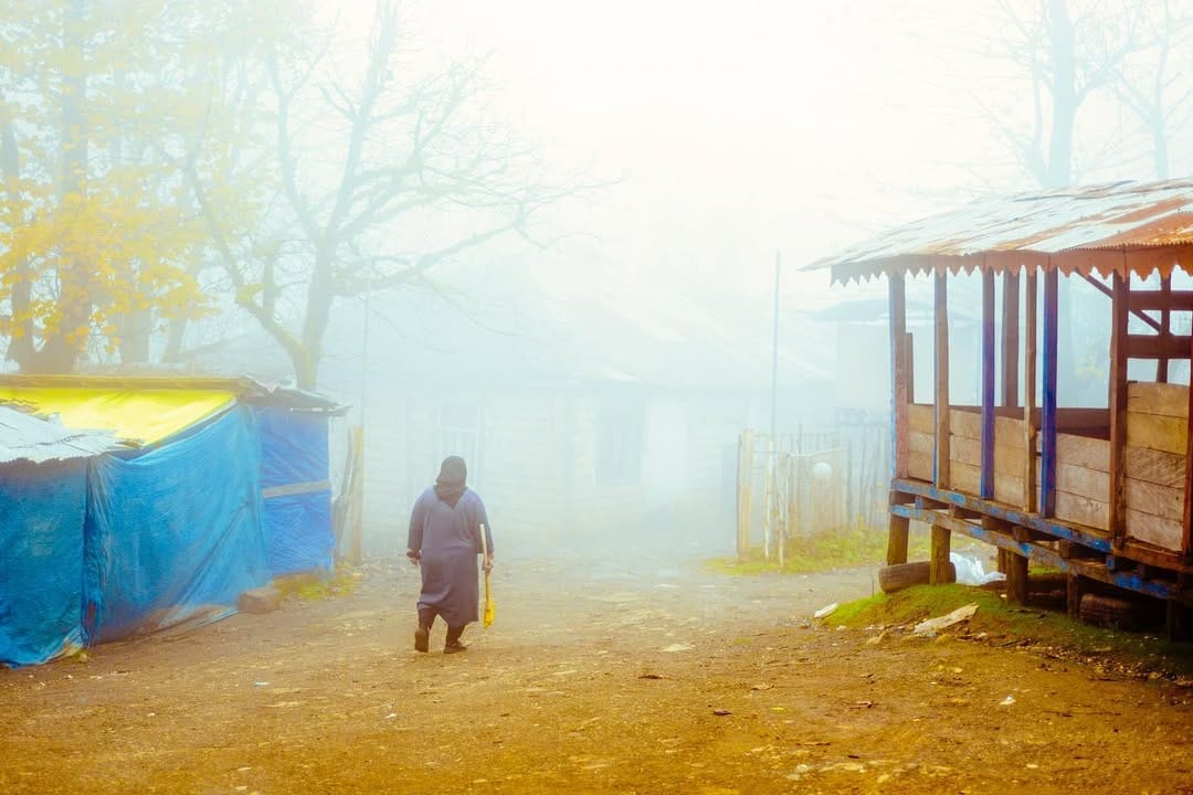 Post 6 by Reza Mohammadi on Instagram (image)