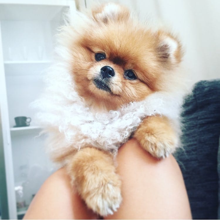 Post 5 by @nereanereiita8 on Instagram (image)