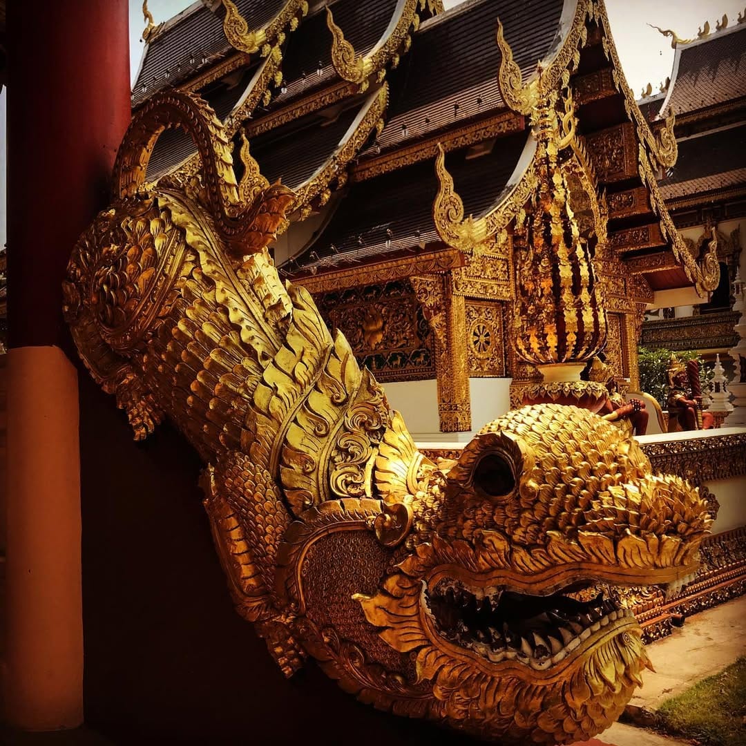 Post 2 by Polo Dagz on Instagram (image)