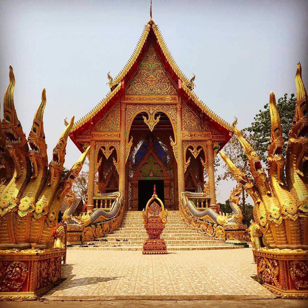 Post 8 by Polo Dagz on Instagram (image)