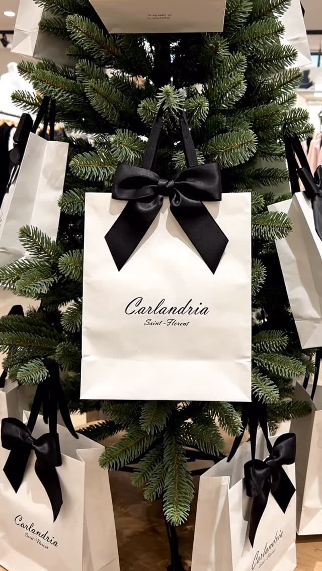 Post 7 by Boutique Carlandria on Instagram (video)
