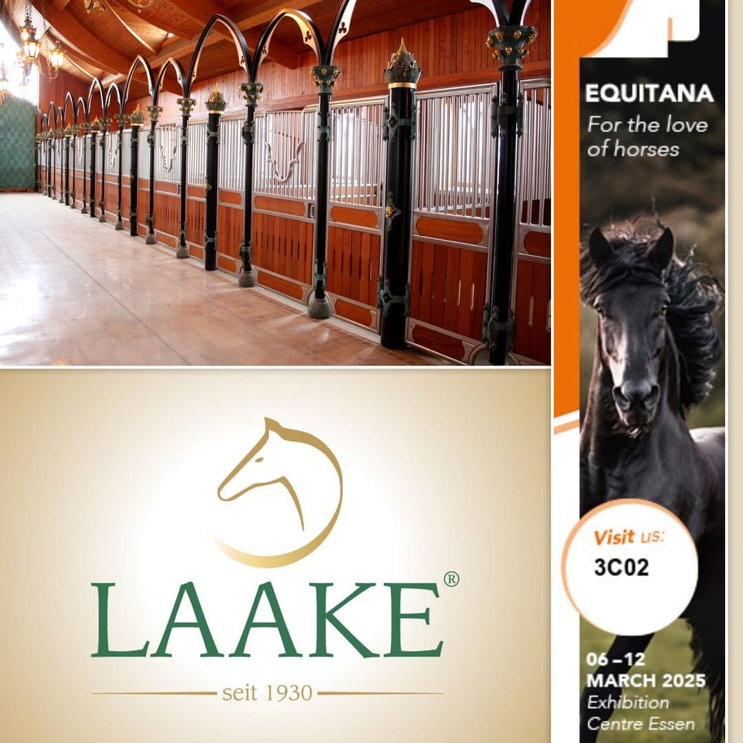 Post 10 by laake_equestrian on Instagram (image)