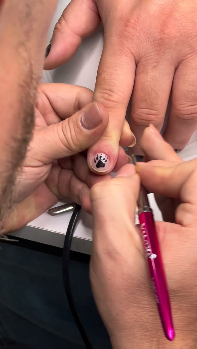 Post 5 by Ivan Meireles on Instagram (video)