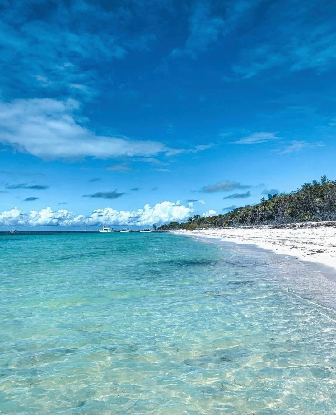 Post 9 by Isla Cozumel on Instagram (image)
