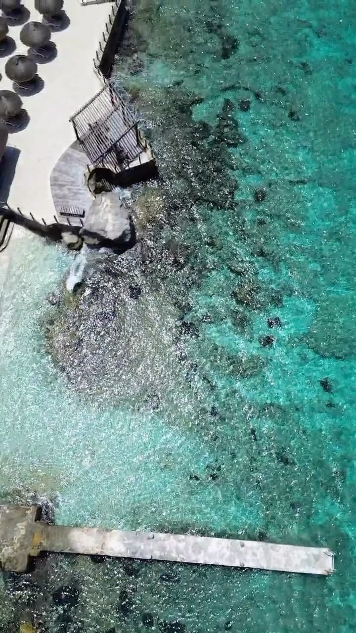 Post 3 by Isla Cozumel on Instagram (video)