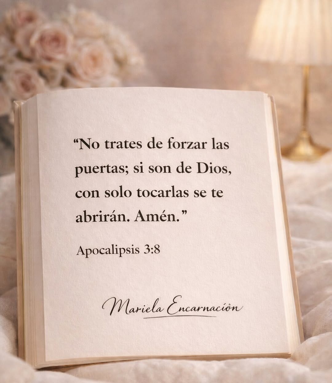 Post 6 by 𝑀𝒶𝓇𝒾𝑒𝓁𝒶 𝐸𝓃𝒸𝒶𝓇𝓃𝒶𝒸𝒾ó𝓃 on Instagram (image)
