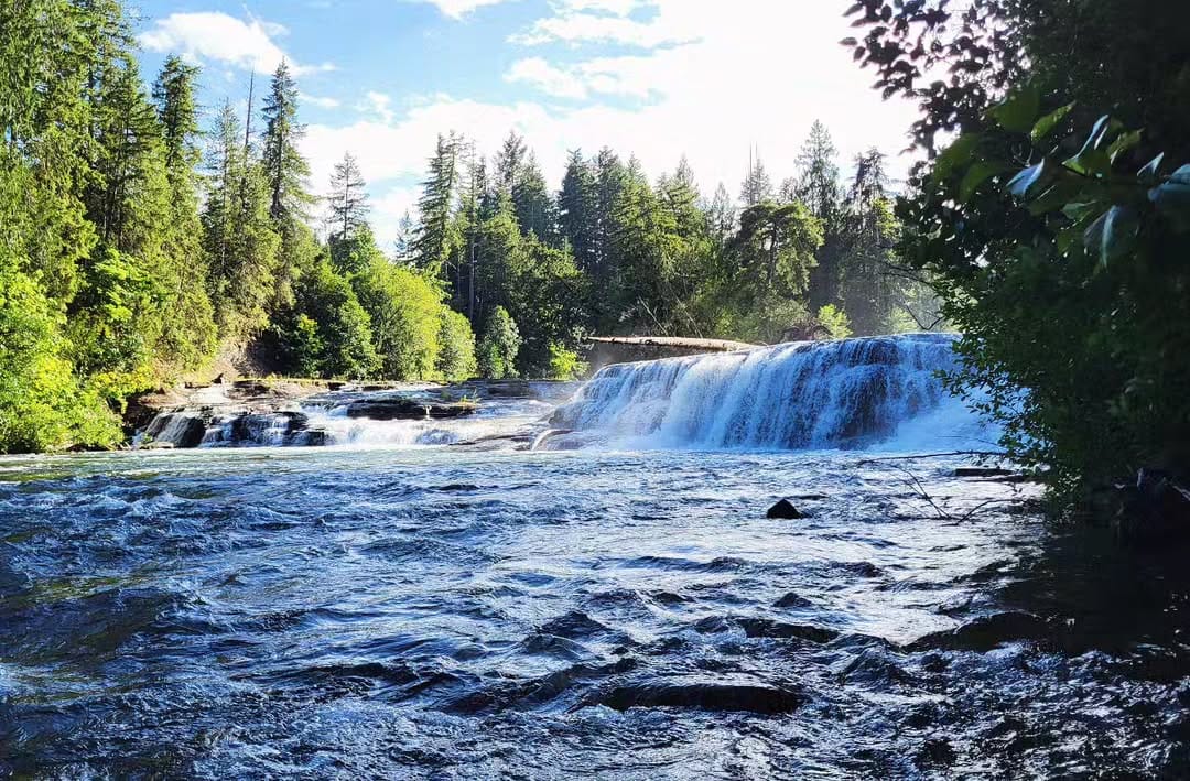 Post 5 by Jenn Lockhart 🌲 on Instagram (image)