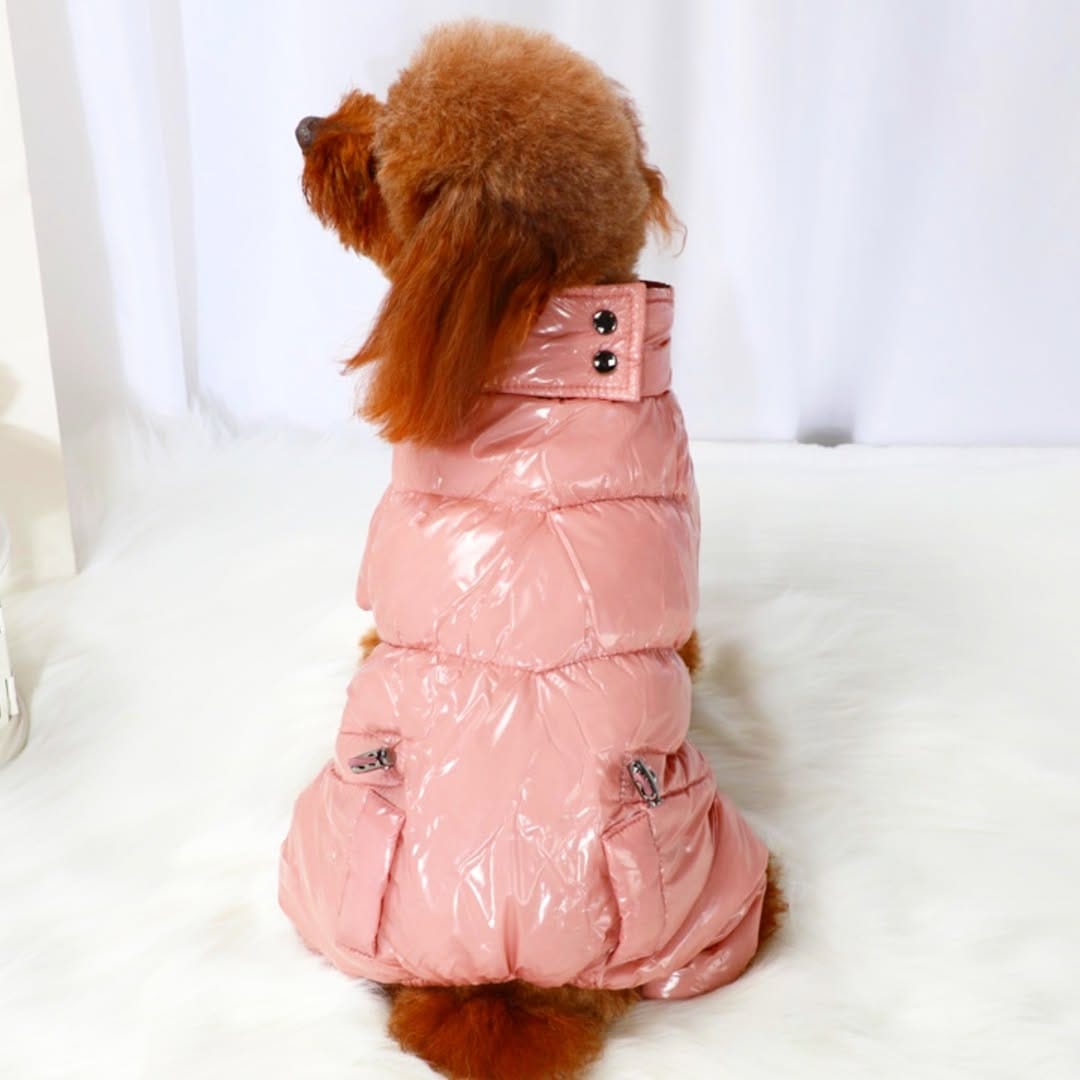 Post 9 by UPZ Pet Products on Instagram (image)