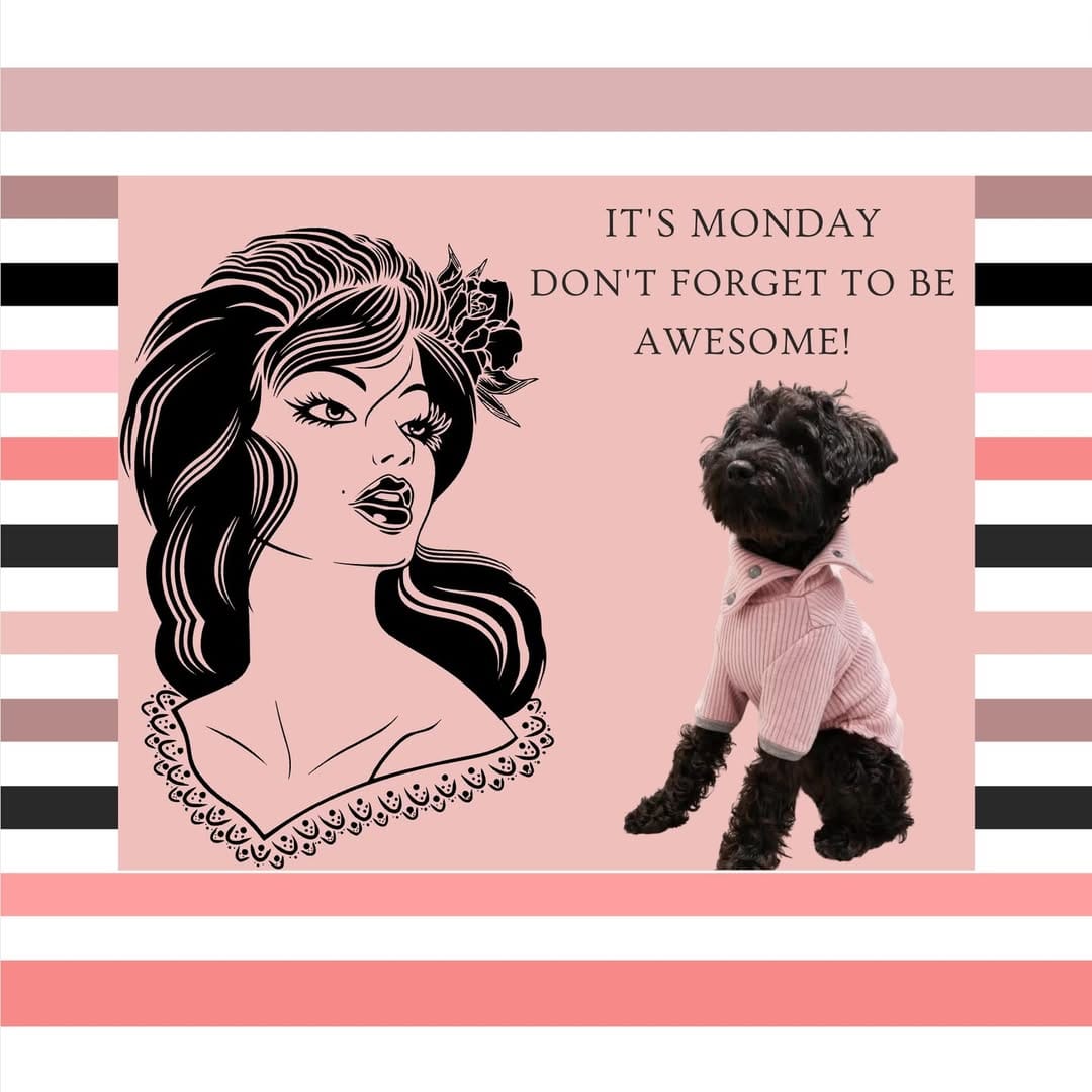 Post 4 by UPZ Pet Products on Instagram (image)