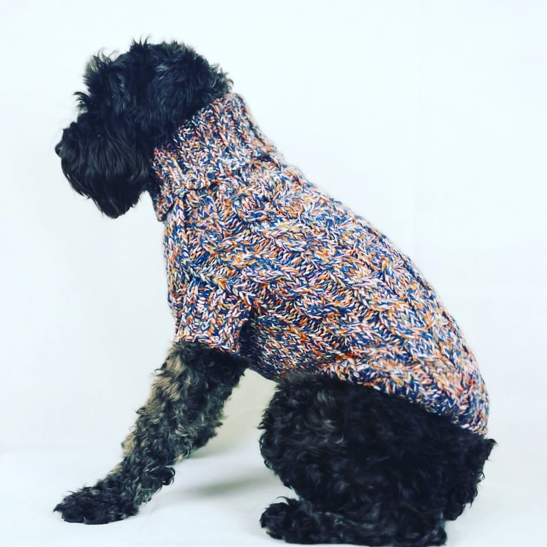 Post 7 by UPZ Pet Products on Instagram (image)