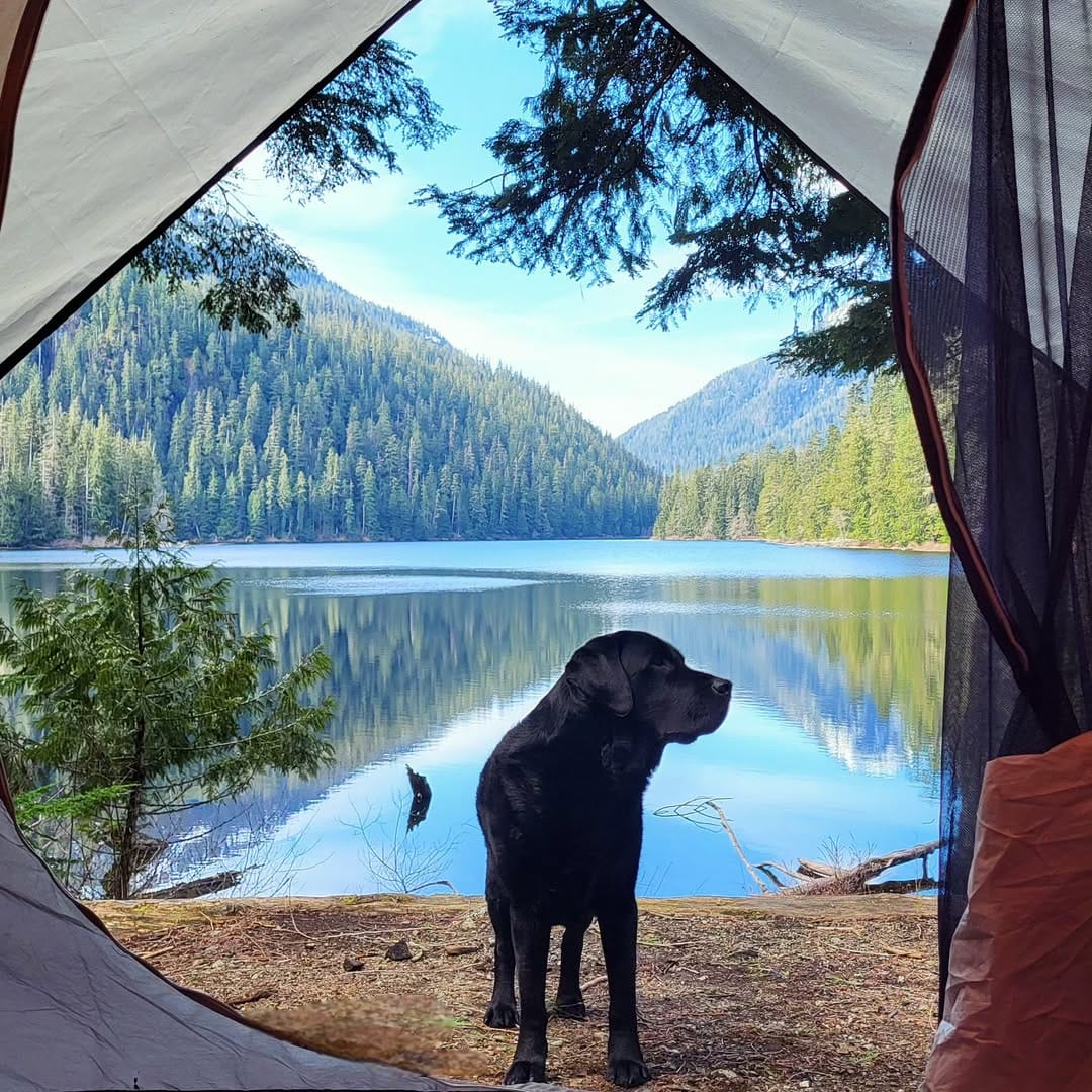 Post 8 by Jenn Lockhart 🌲 on Instagram (image)
