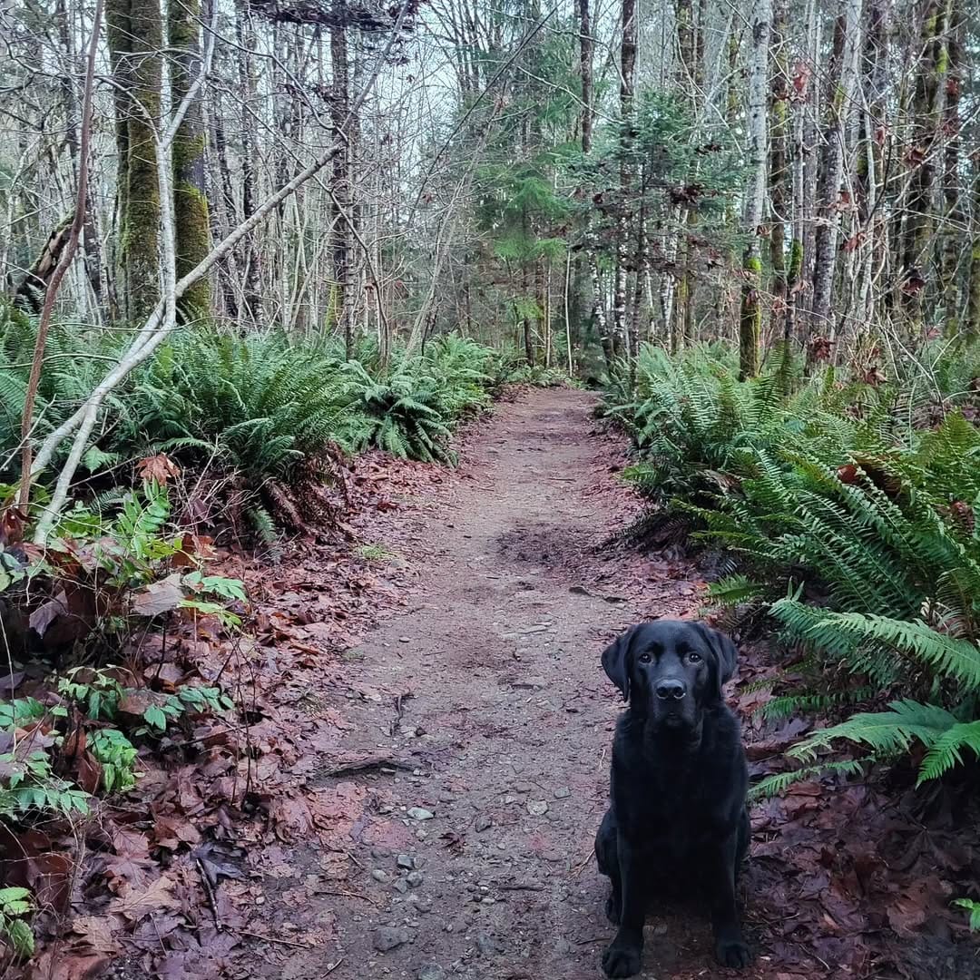 Post 9 by Jenn Lockhart 🌲 on Instagram (image)