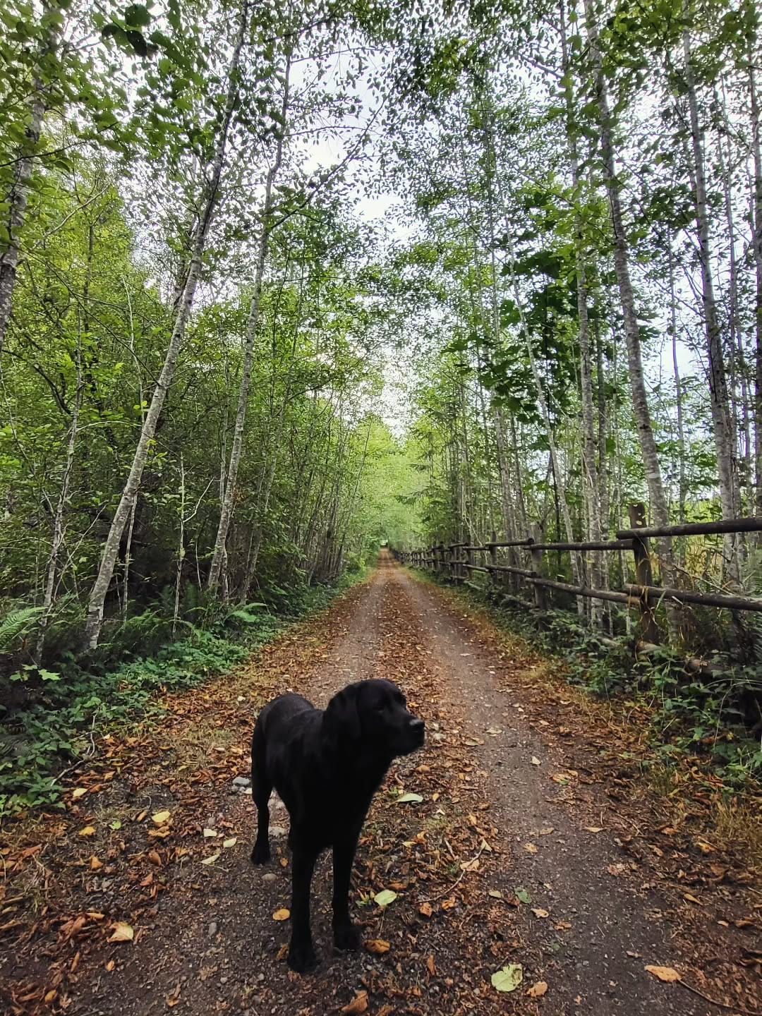 Post 1 by Jenn Lockhart 🌲 on Instagram (image)