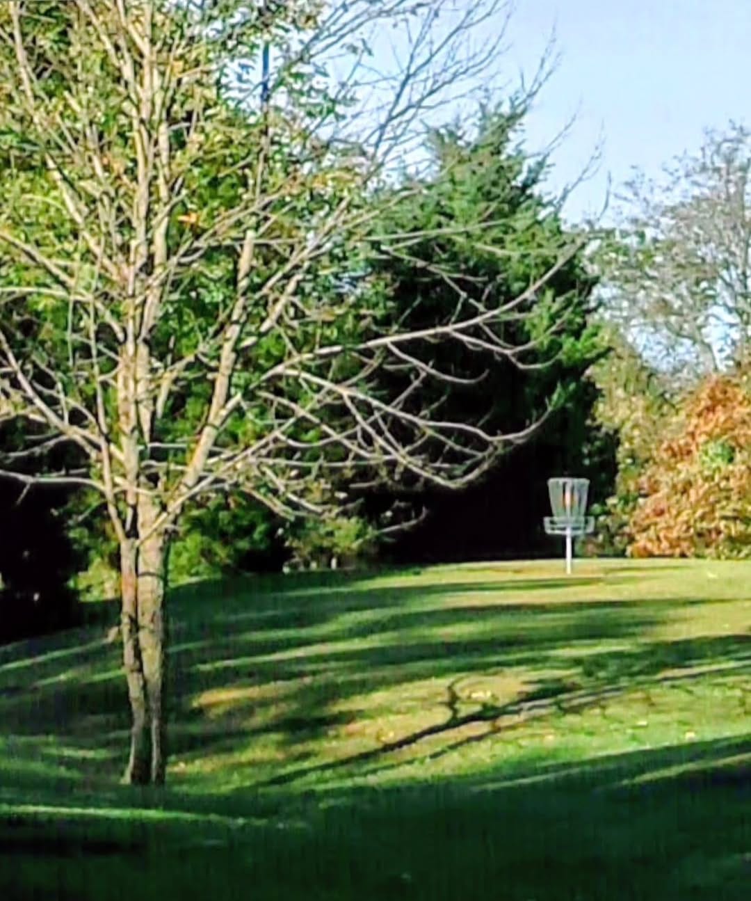 Post 7 by @discgolf614 on Instagram (image)
