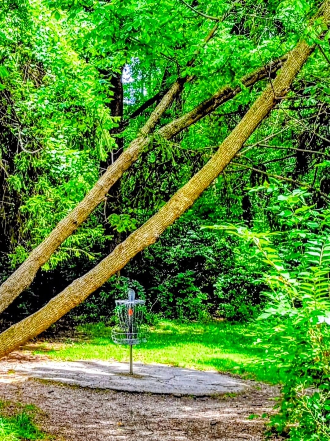 Post 2 by @discgolf614 on Instagram (image)