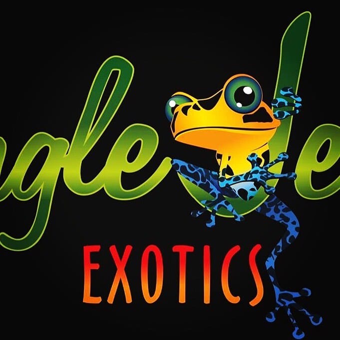 Post 9 by Jungle Jewel Exotics on Instagram (image)