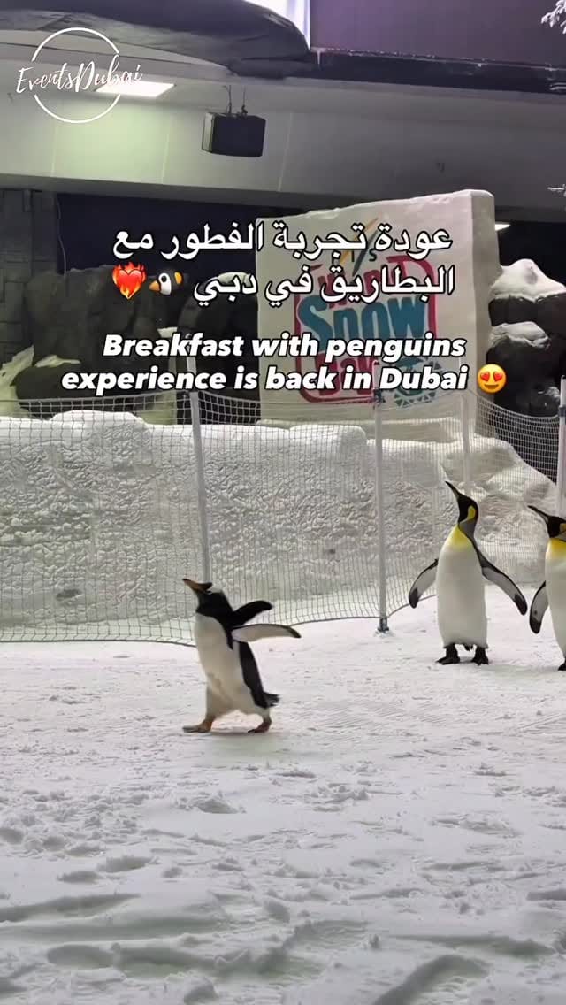 Post 9 by Events Dubai on Instagram (video)