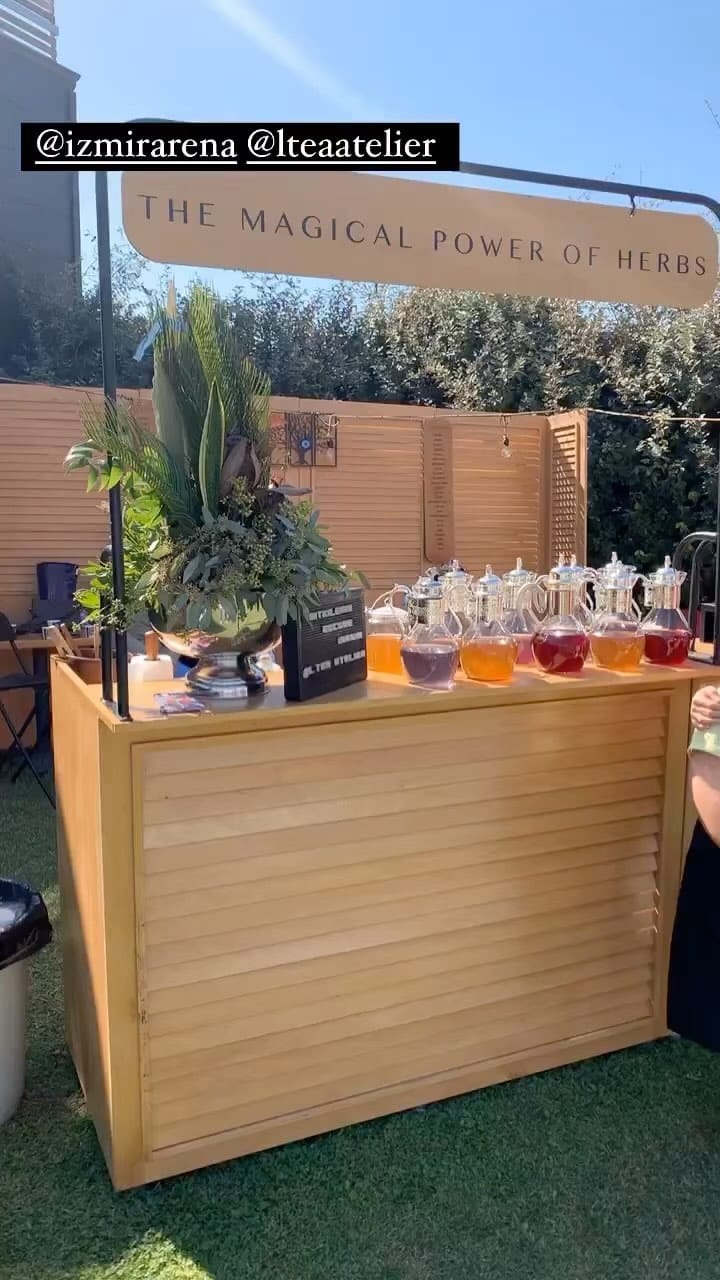 Post 3 by Aslı Keskinoğlu on Instagram (video)