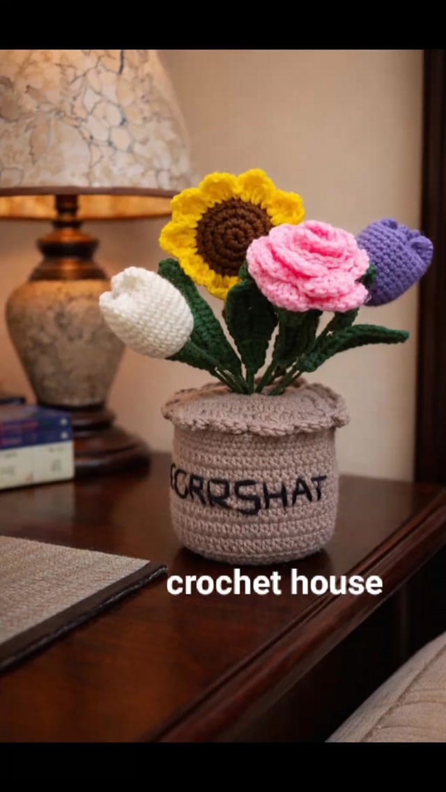 Post 1 by Crochet House on Instagram (video)