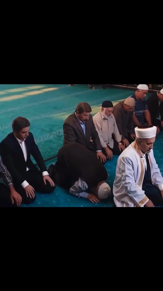 Post 1 by Alaa Al Khawam on Instagram (video)