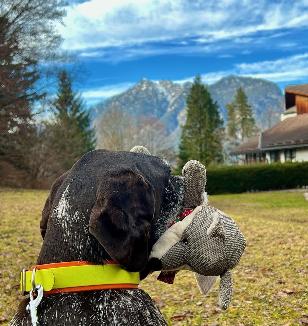 Post 9 by Julia Katrin ☀️ on Instagram (carousel)