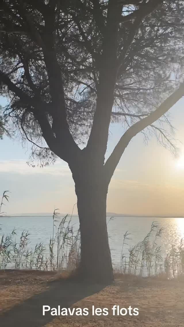 Post 9 by Inspiratious⭐️✨ on Instagram (video)