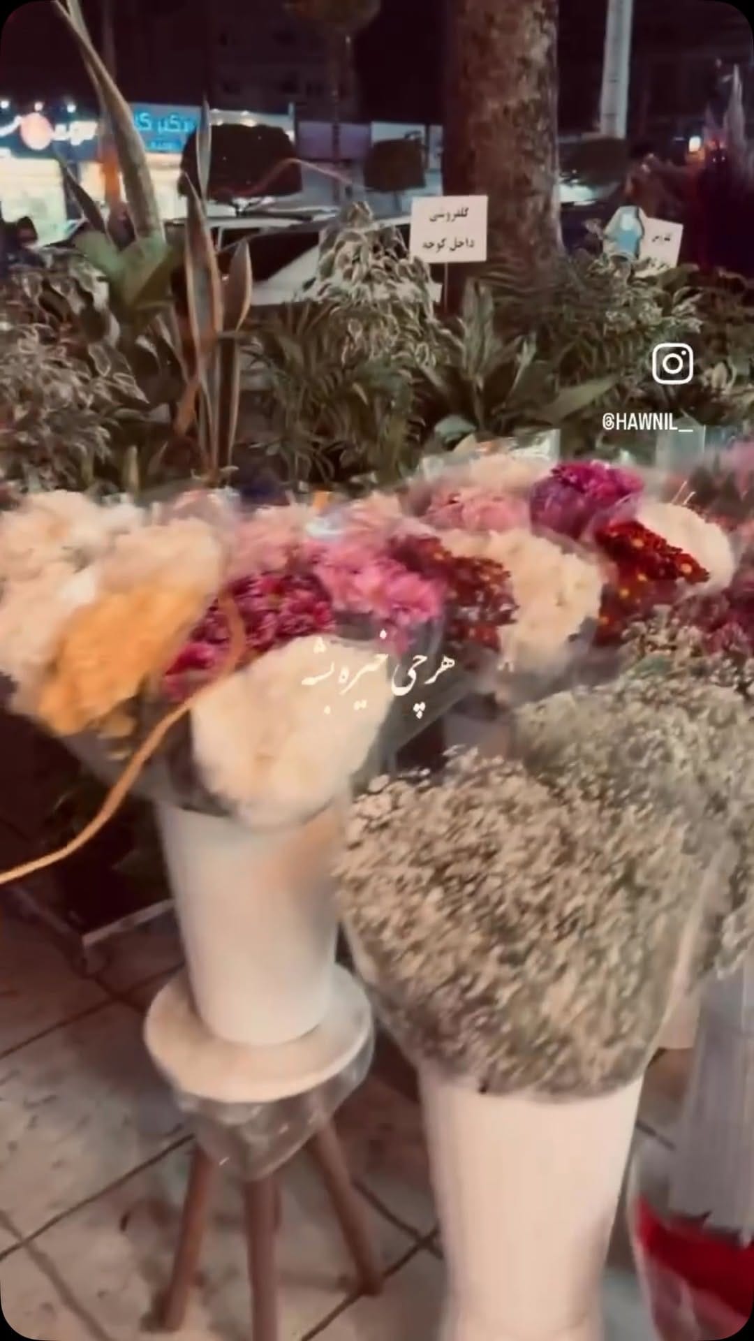 Post 7 by @mr_dinoco_ on Instagram (video)