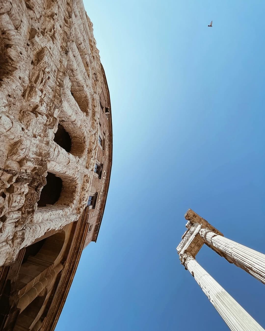 Post 10 by Alvise Giovannini on Instagram (image)