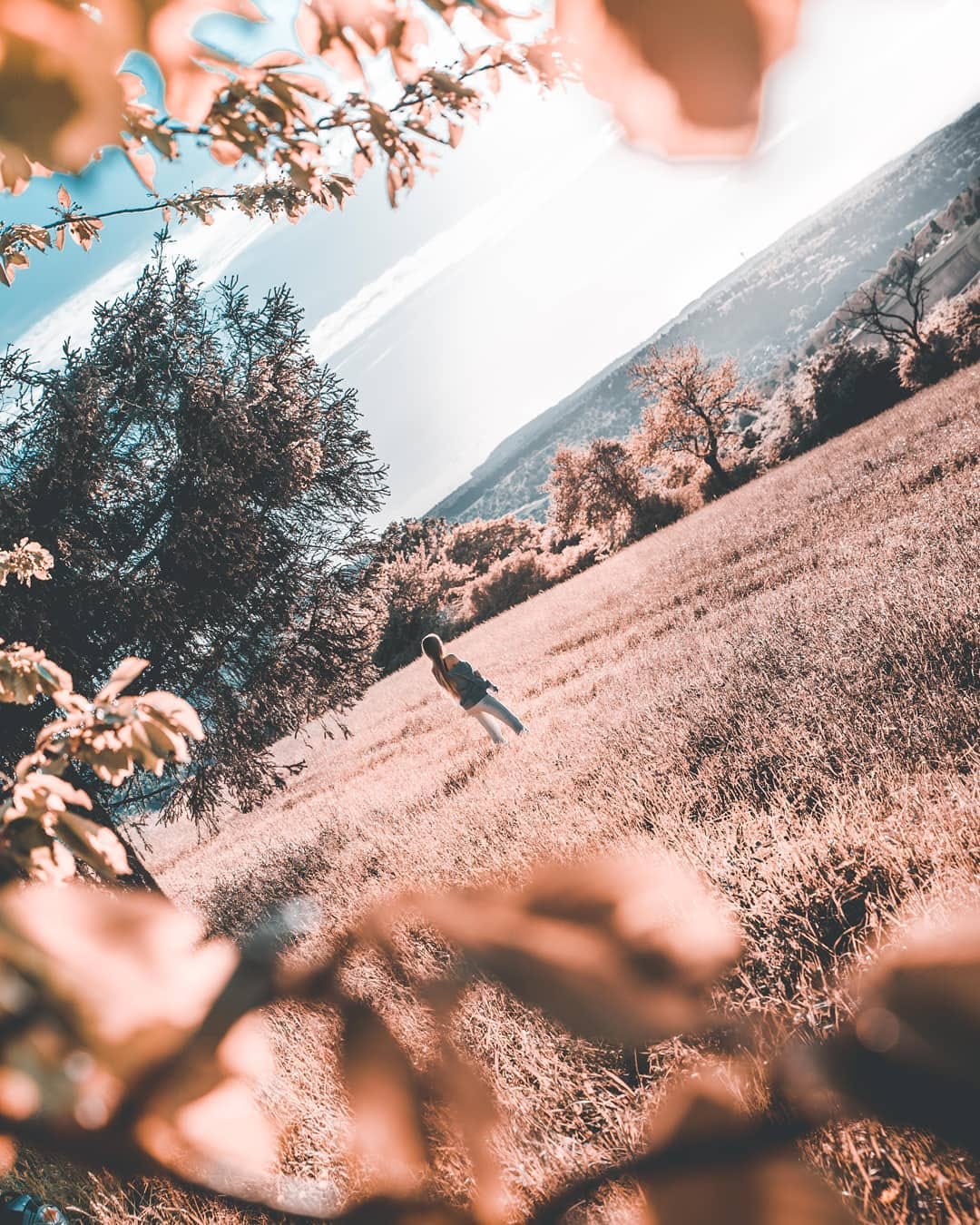 Post 4 by B R O W N  T R A V E L L E R on Instagram (image)