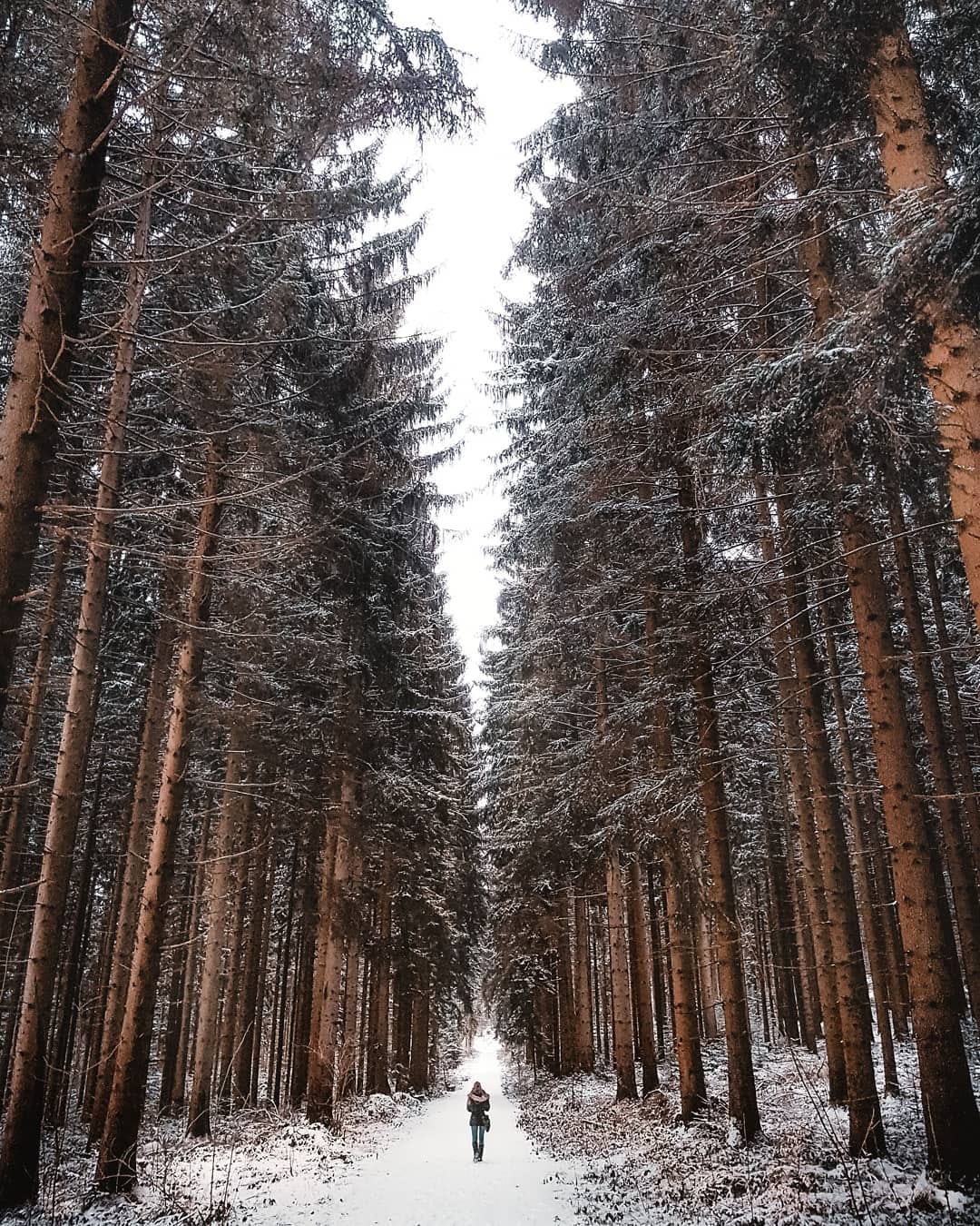 Post 9 by B R O W N  T R A V E L L E R on Instagram (image)
