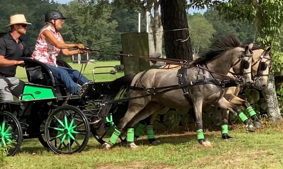Post 6 by Equestrian Imports USA on Instagram (image)