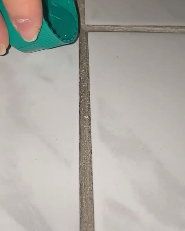 Post 4 by Sonia Rennes on Instagram (video)