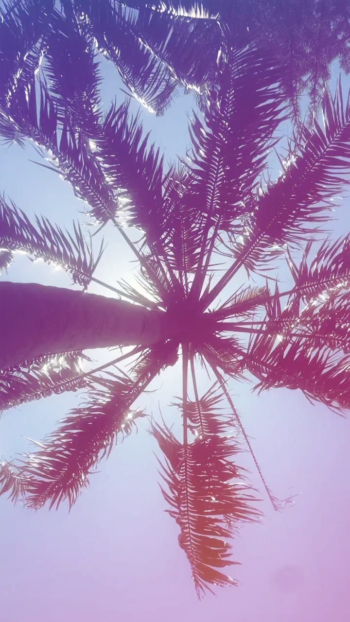 Post 5 by L A  C I G A N N A on Instagram (video)