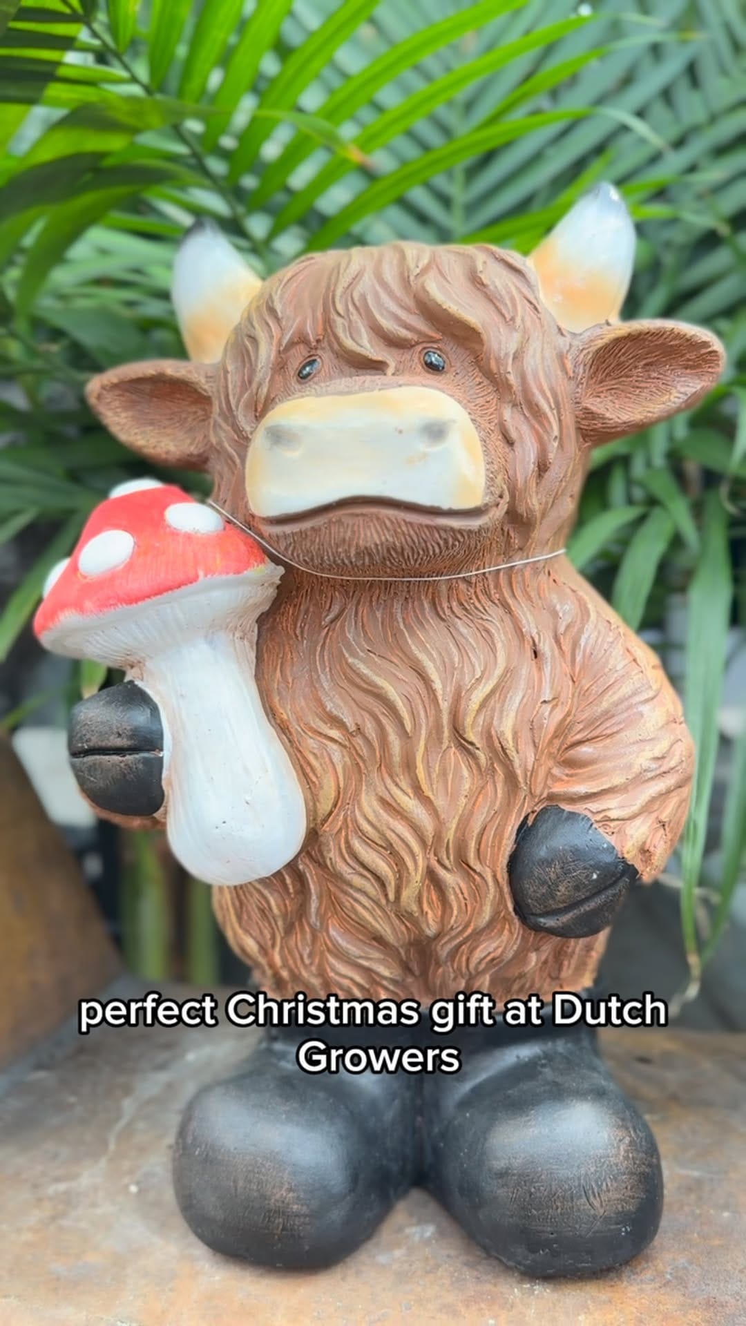 Post 6 by Dutch Growers Regina on Instagram (video)