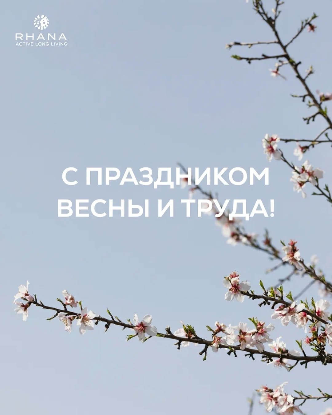 Post 1 by Медицинская корпорация on Instagram (image)