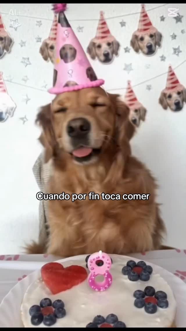 Post 2 by Neula👑 on Instagram (video)