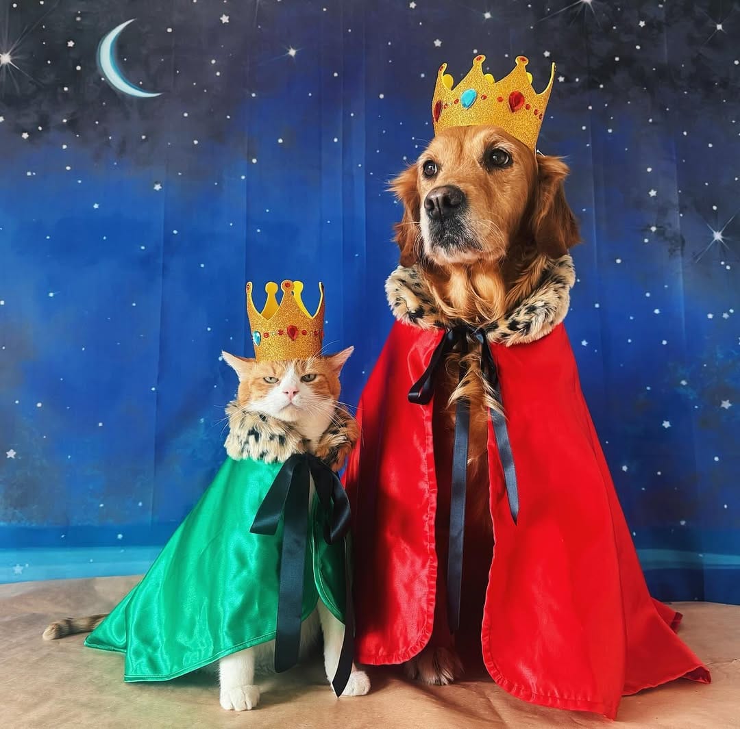 Post 9 by Neula👑 on Instagram (carousel)