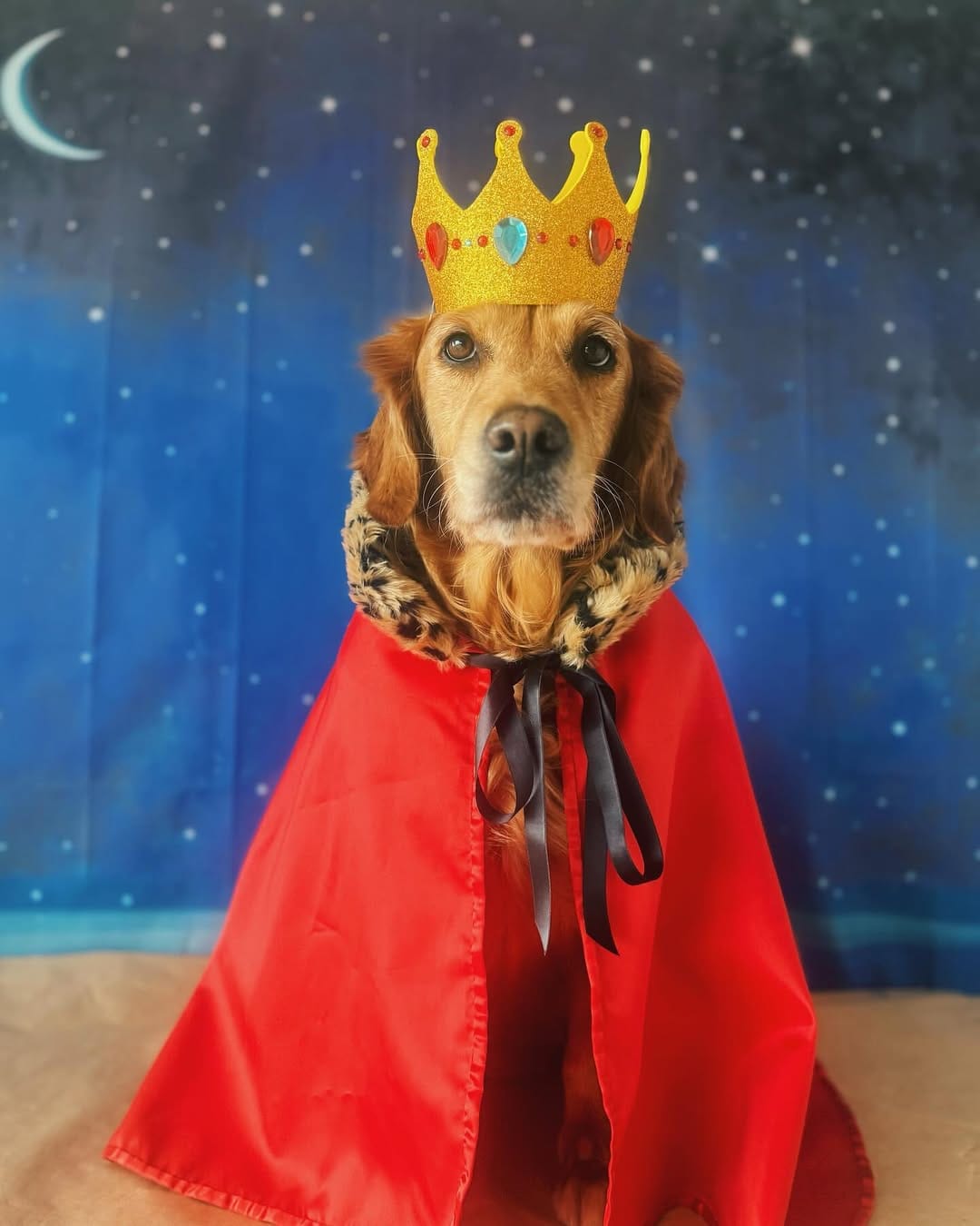 Post 10 by Neula👑 on Instagram (carousel)