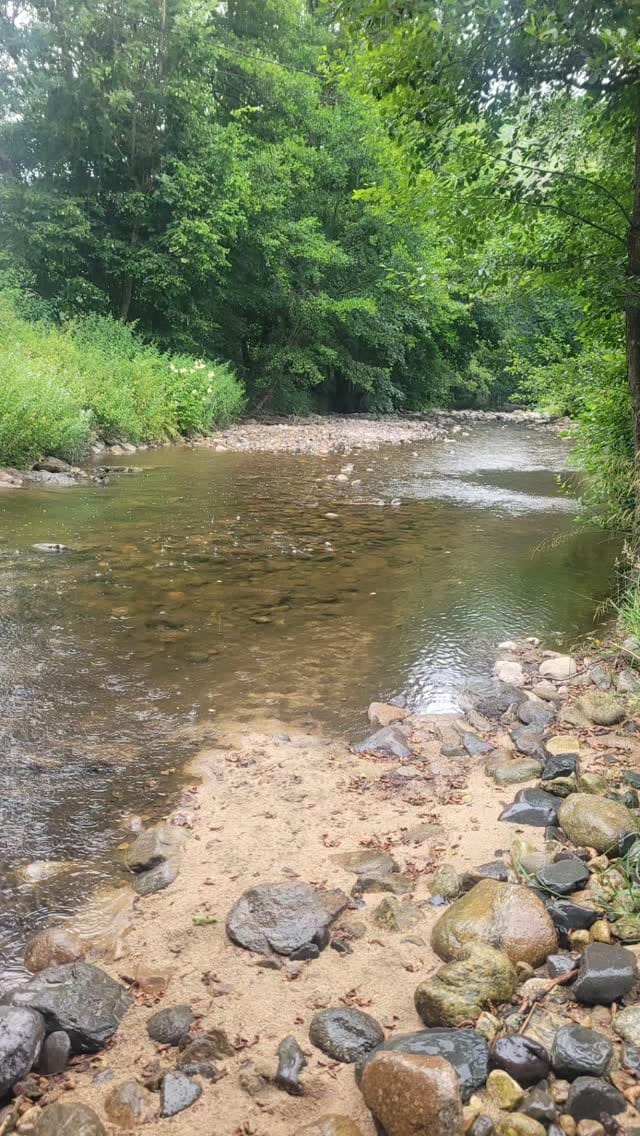 Post 8 by TribuLove on Instagram (video)