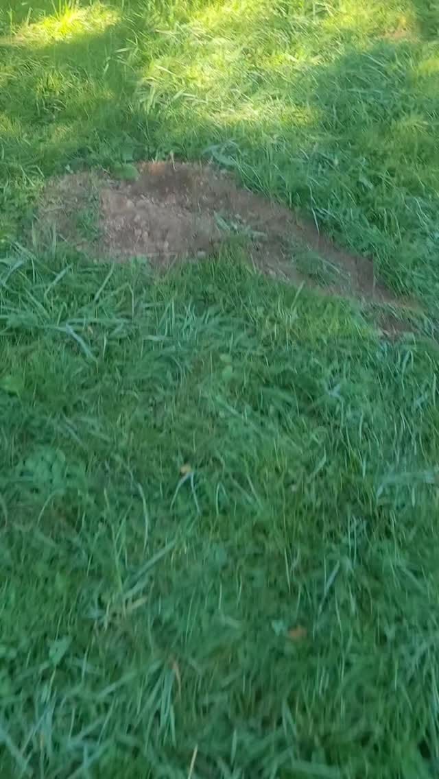 Post 9 by TribuLove on Instagram (video)