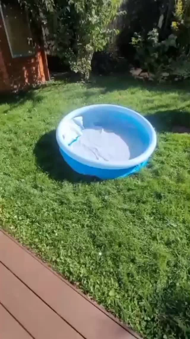 Post 6 by TribuLove on Instagram (video)