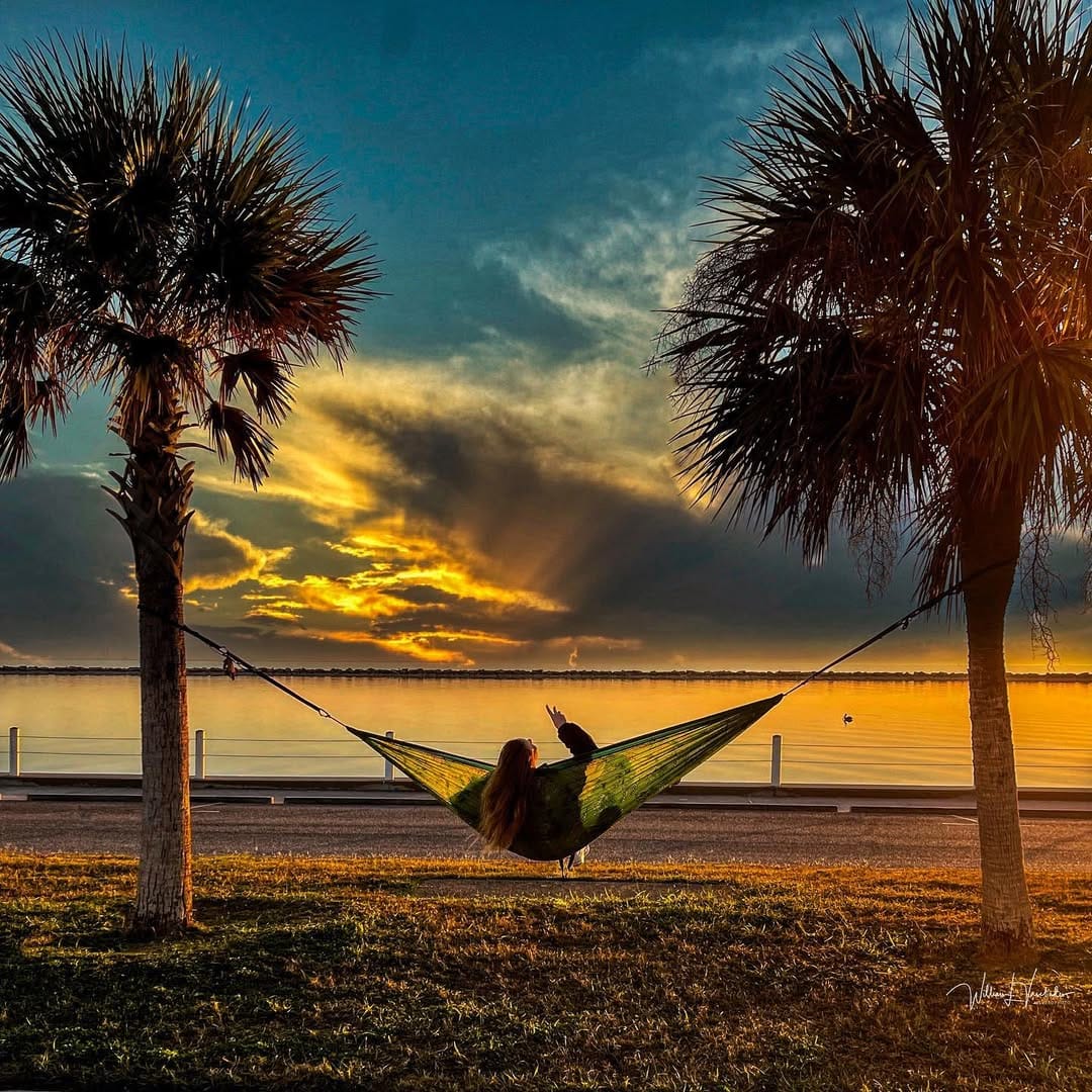 Post 8 by WLV PHOTOGRAPHY CPP on Instagram (image)