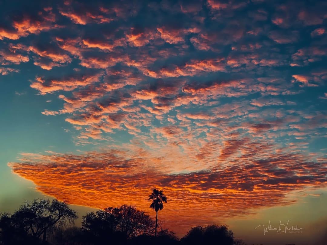Post 10 by WLV PHOTOGRAPHY CPP on Instagram (image)