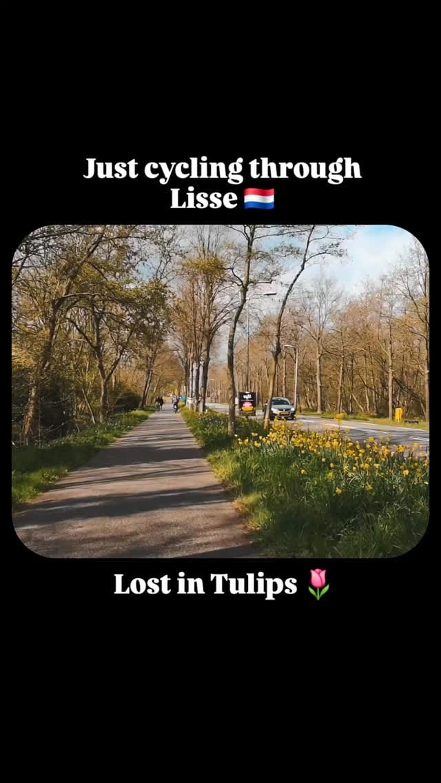 Post 1 by Lens Liebe on Instagram (video)