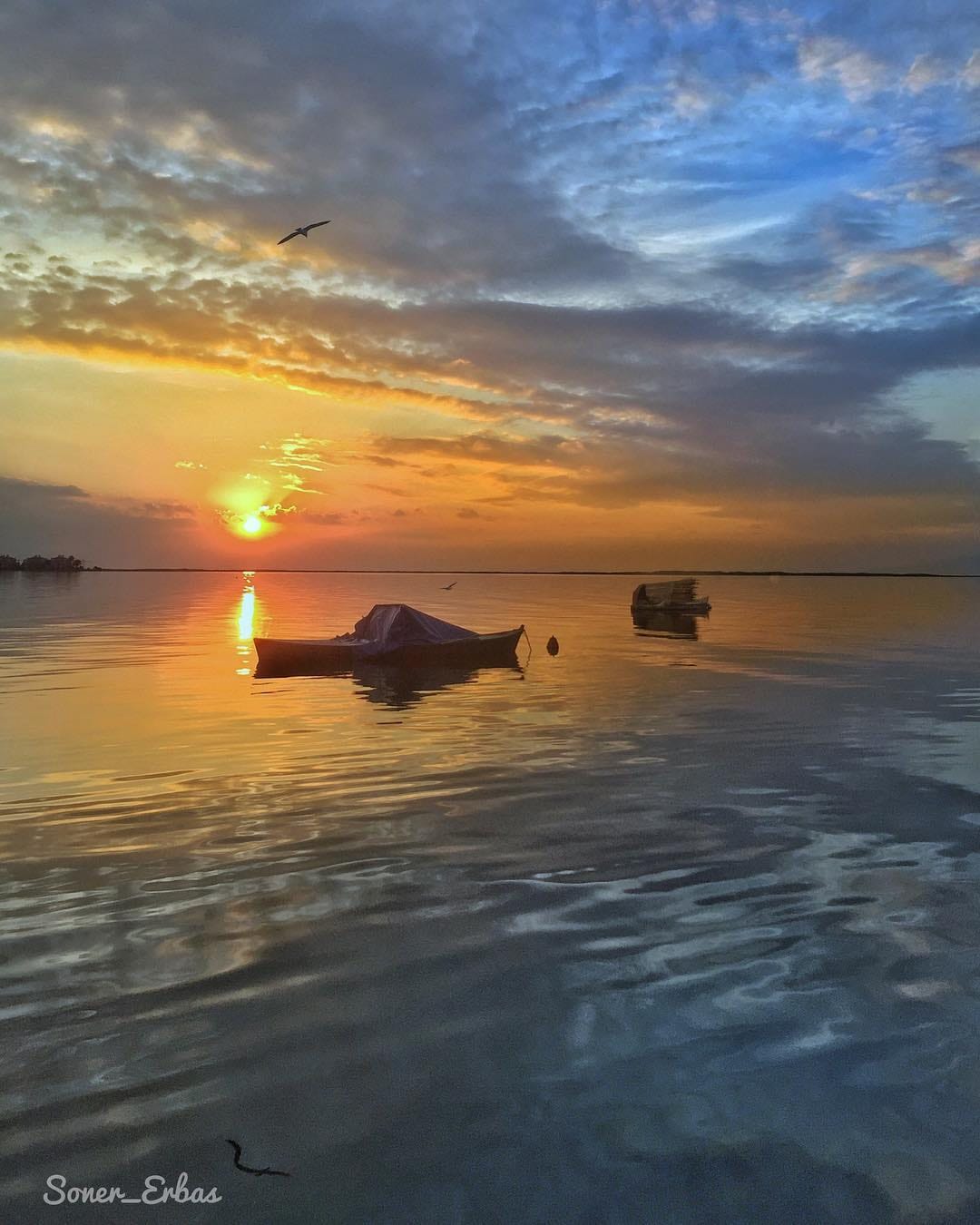 Post 8 by Soner on Instagram (image)