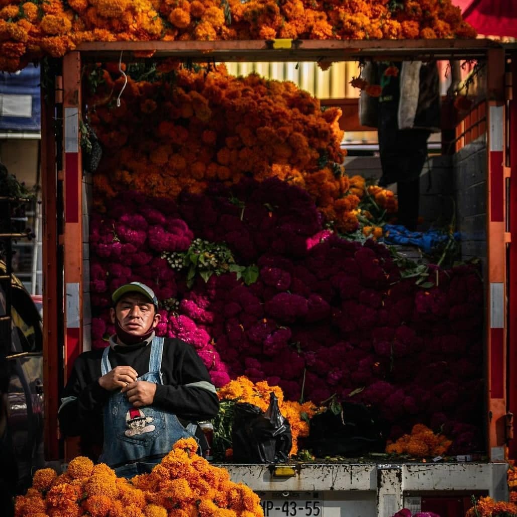 Post 5 by Xploring Mexico on Instagram (image)