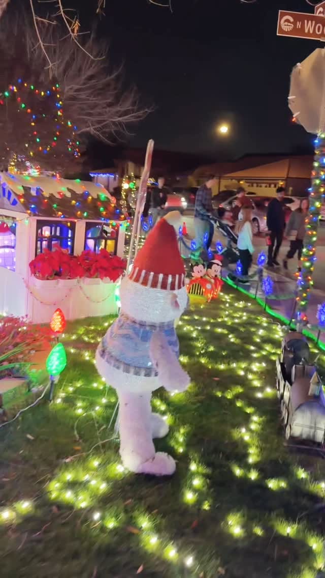 Post 8 by Mircea Goia on Instagram (video)
