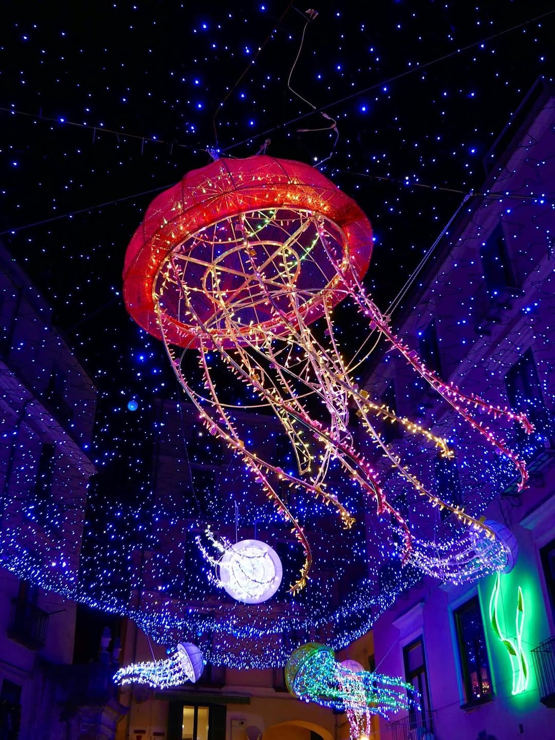 Post 6 by 𝙁𝙡𝙖𝙫𝙞𝙖 💫 on Instagram (carousel)