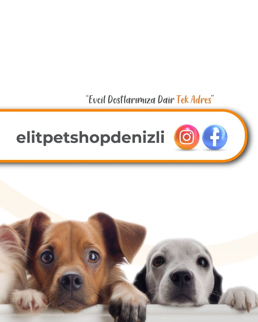 Post 10 by Elit Petshop Denizli on Instagram (image)